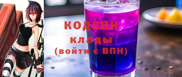 МДПВ Инсар