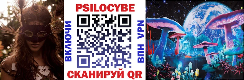 Галлюциногенные грибы Psilocybe Арск